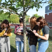 Madison Southern High School students take measurements