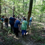 Participants learn about trees