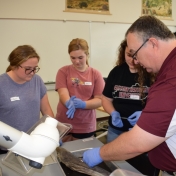 Dr. Andrew Wigginton disects shark with students from Model