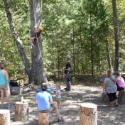 Tree Climbing with children