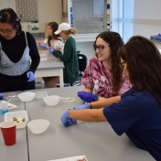 Students working on lab experiment