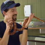 Showing off snakes