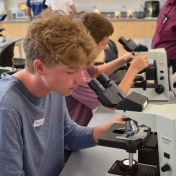 Students looking at cells