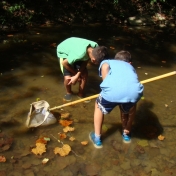 Checking out wildlife in the creek