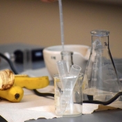 Close-up of banana and test tubes.