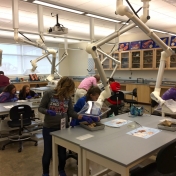 Students get the opportunity to disect in a biology lab